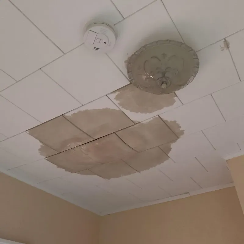 Ceiling Water Damage Repair in Marinette, WI