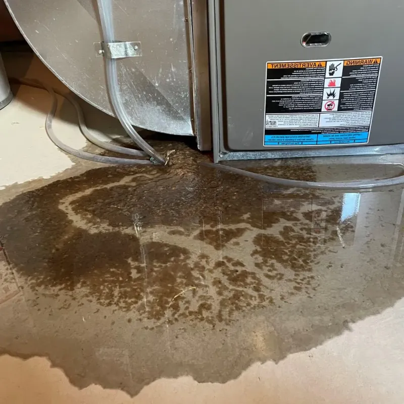 Pipe Burst and Leak Restoration in Marinette, WI