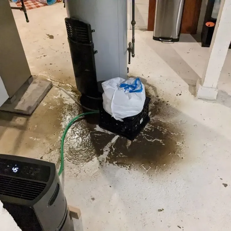 Sewage Backup Cleanup Service in Marinette, WI